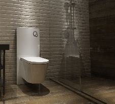 Sanitärmodul für Wand-WC (Weißglas)