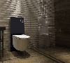 Schwarzglas Sanitärmodul für Wand-WC inkl. Betätigungsplatte